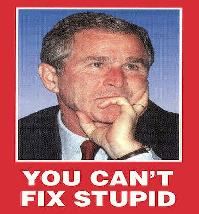 You Can't Fix Stupid Funny George Bush Image