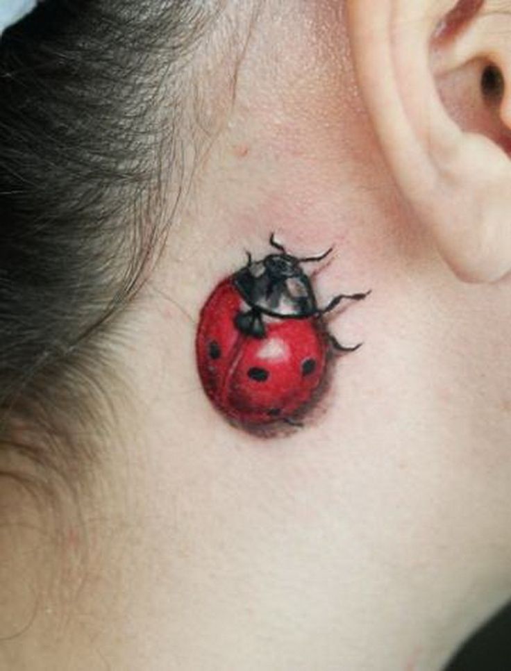 3D Ladybird Tattoo On Behind The Ear