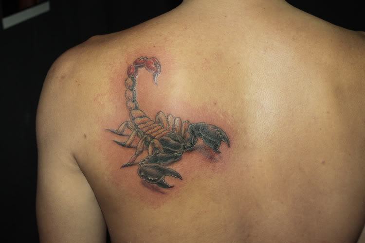 3D Scorpion Tattoo On Left Back Shoulder