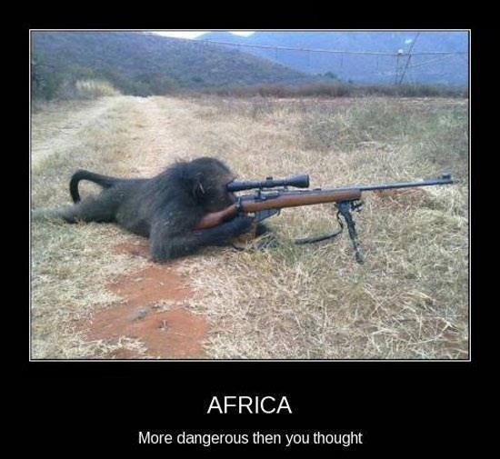 Africa More Dangerous Then You Thought Funny Monkey Picture