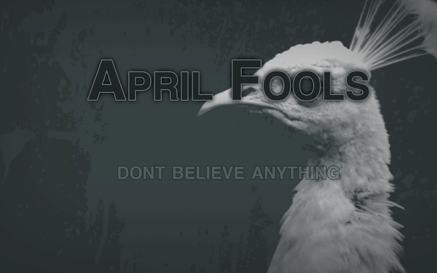 April Fools Dont Believe Anything Ecard