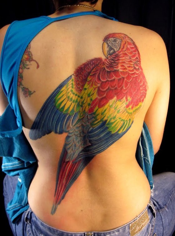 Awesome Colorful Parrot Tattoo On Full Back