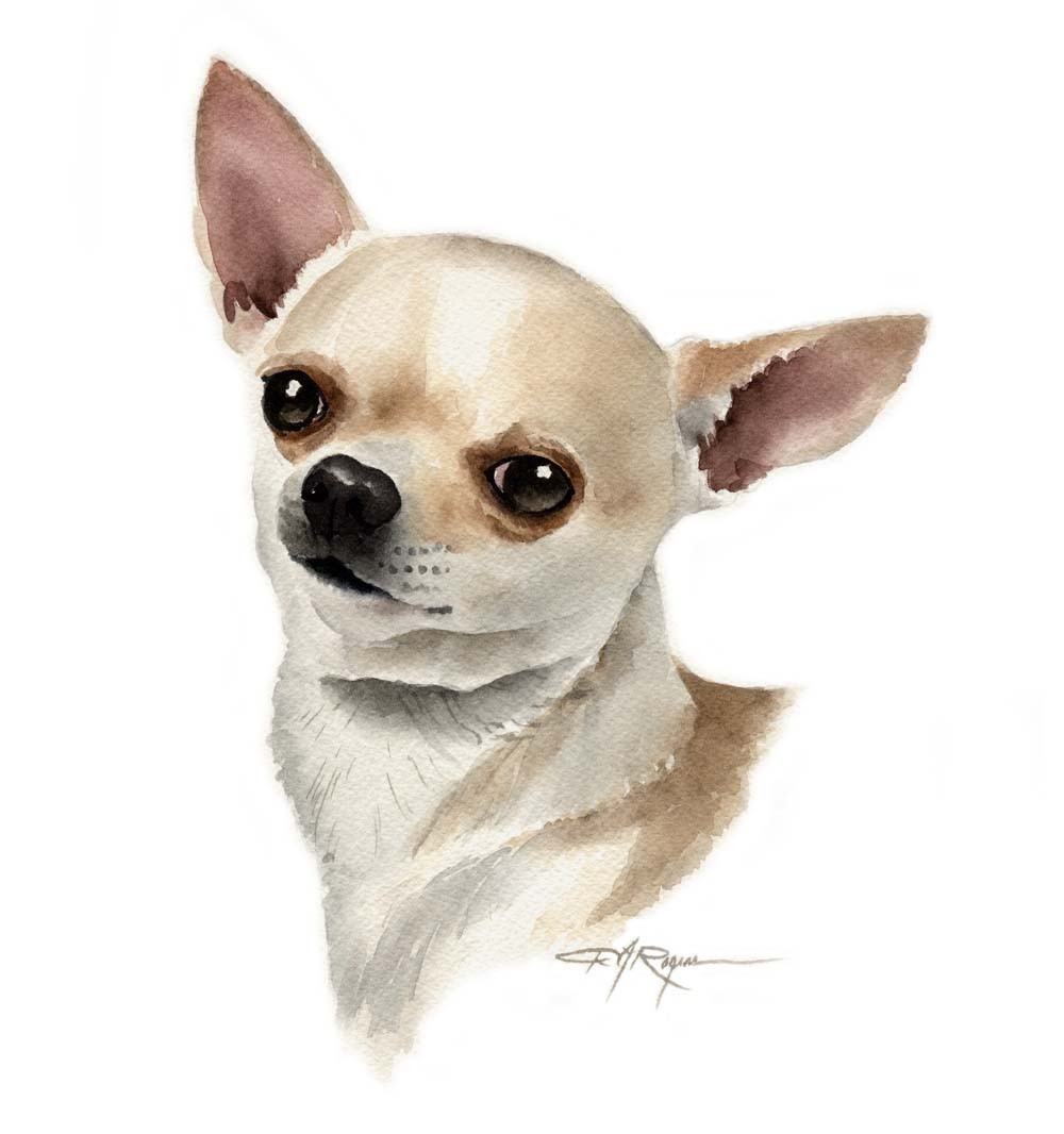Beautiful Chihuahua Dog Painting