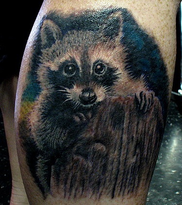 Beautiful Raccoon Tattoo Image