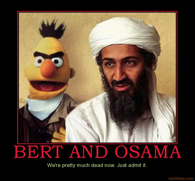 Bert And Osama Funny Terrorist Image