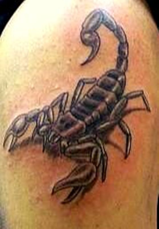 Black 3D Scorpion Tattoo Design For Shoulder