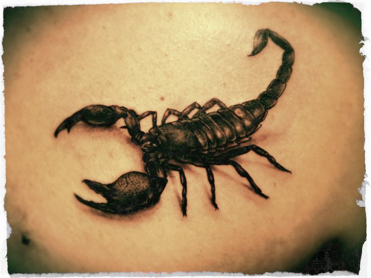 Black 3D Scorpion Tattoo Design