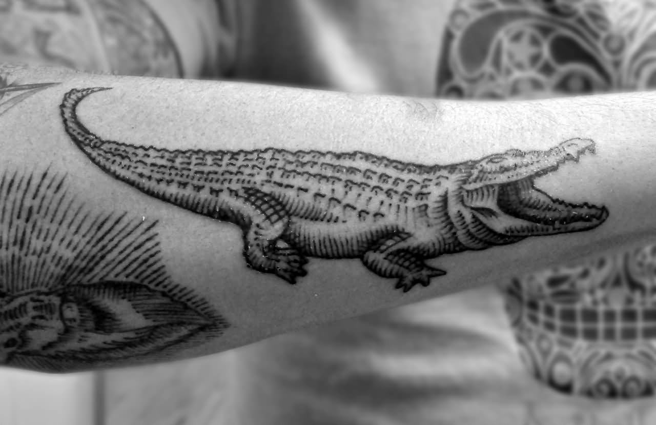 Black Alligator Tattoo On Forearm