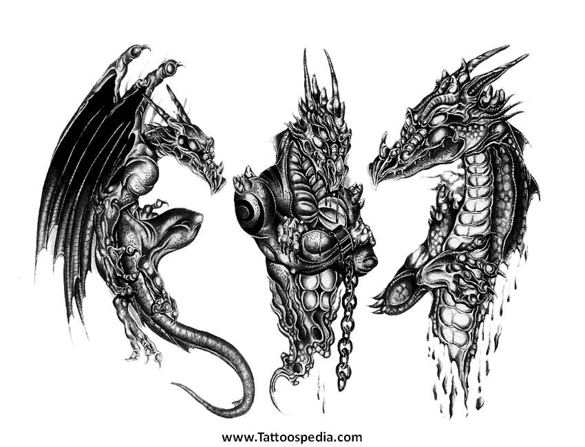 Black And Grey 3D Dragon Tattoos Designs