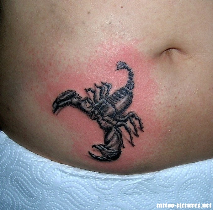 Black And Grey 3D Scorpion Tattoo On Stomach