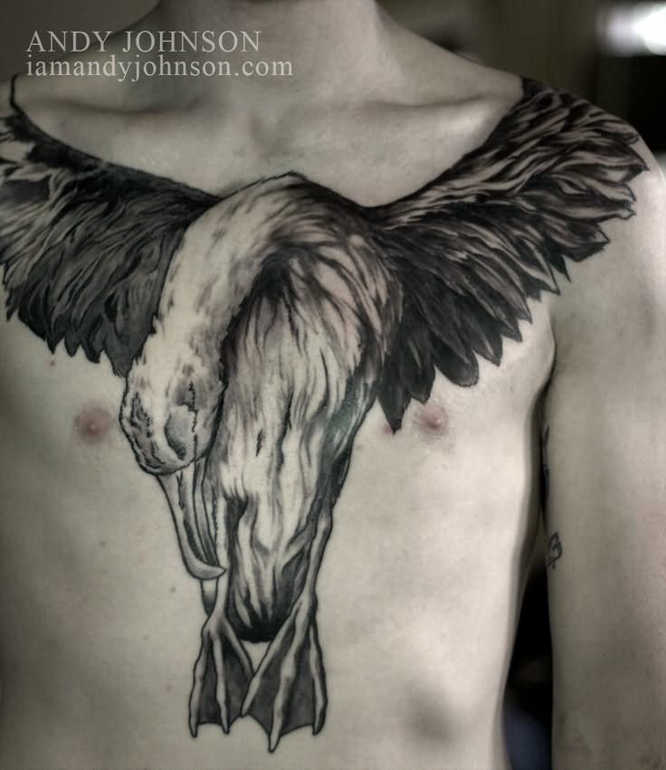 Black And Grey Albatross Tattoo On Man Chest