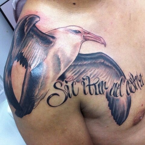 Black And Grey Albatross Tattoo On Man Right Shoulder