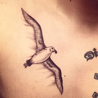 Black And Grey Flying Albatross Tattoo Design For Front Shoulder