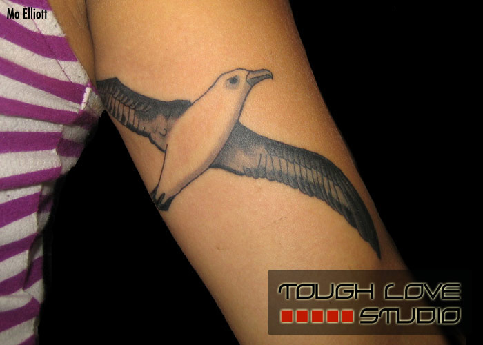 Black And Grey Flying Albatross Tattoo On Half Sleeve