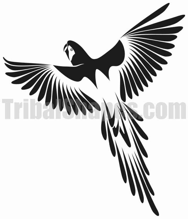 Black Flying Parrot Tattoo Stencil