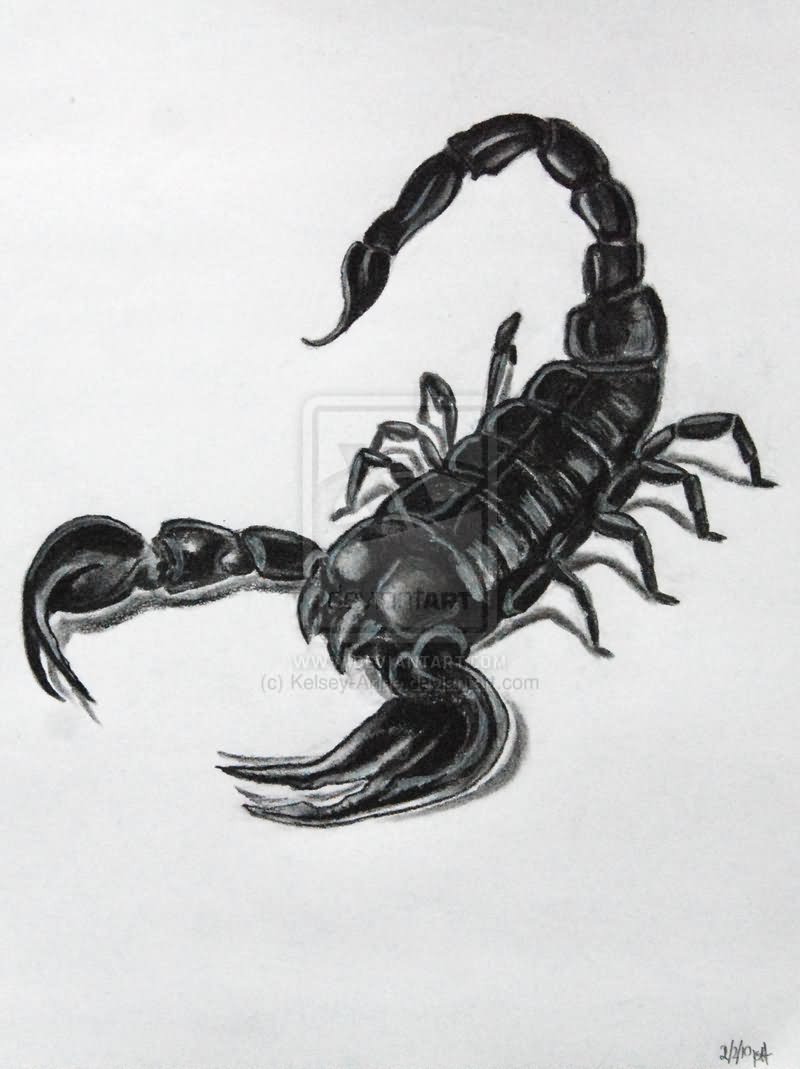 Black Ink 3D Scorpion Tattoo Design By Kelsey Anne