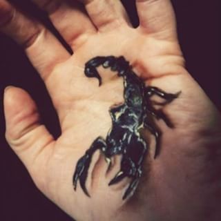 Black Ink 3D Scorpion Tattoo On Hand Palm