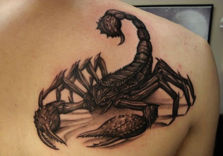 Black Ink 3D Scorpion Tattoo On Right Back Shoulder