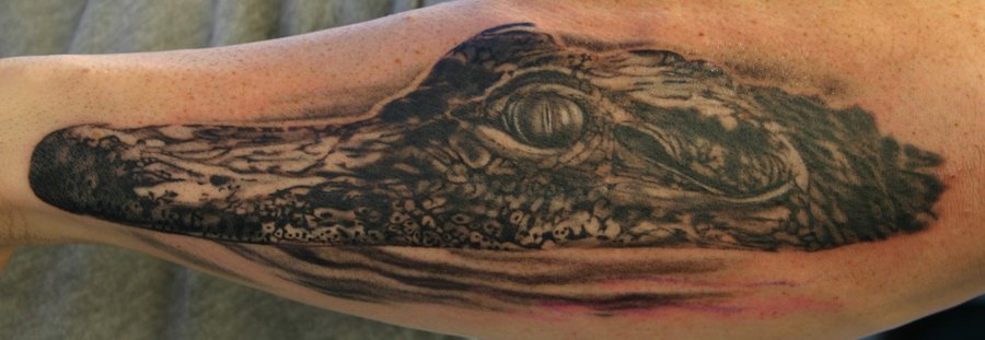 Black Ink Alligator Head Tattoo Design For Forearm