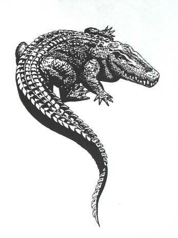 Black Ink Alligator Tattoo Design