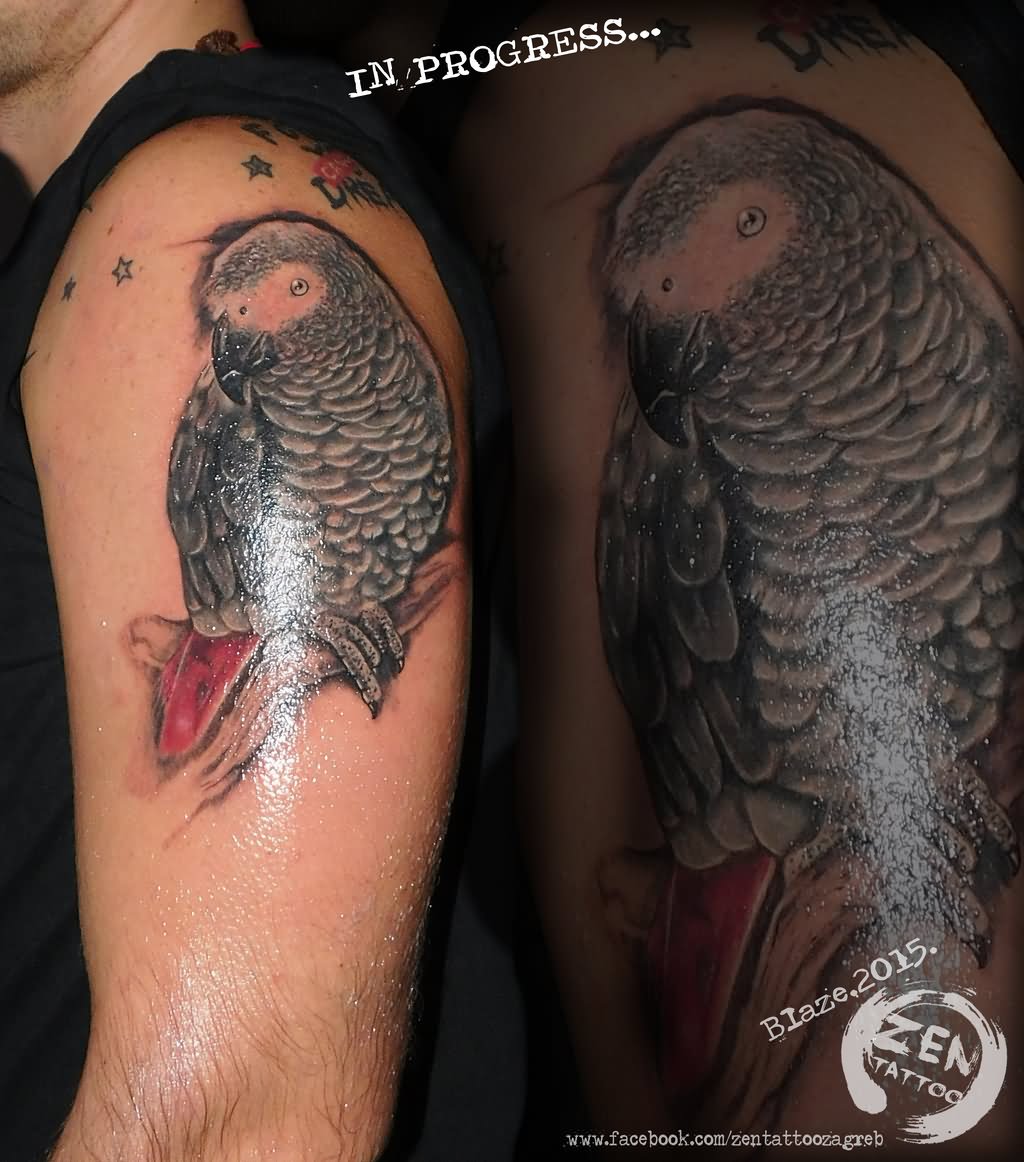 Black Ink Parrot Tattoo On Man Left Shoulder