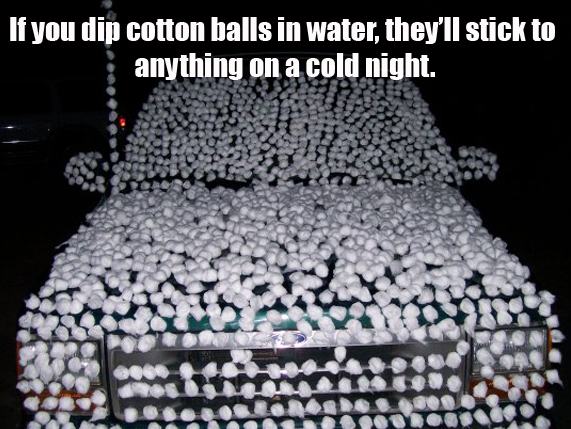Car Cover With Cotton Balls April Fools Day Prank