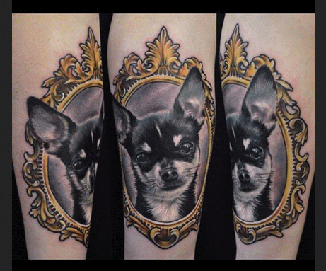 Chihuahua Dog Head In Frame Tattoo Design For Forearm