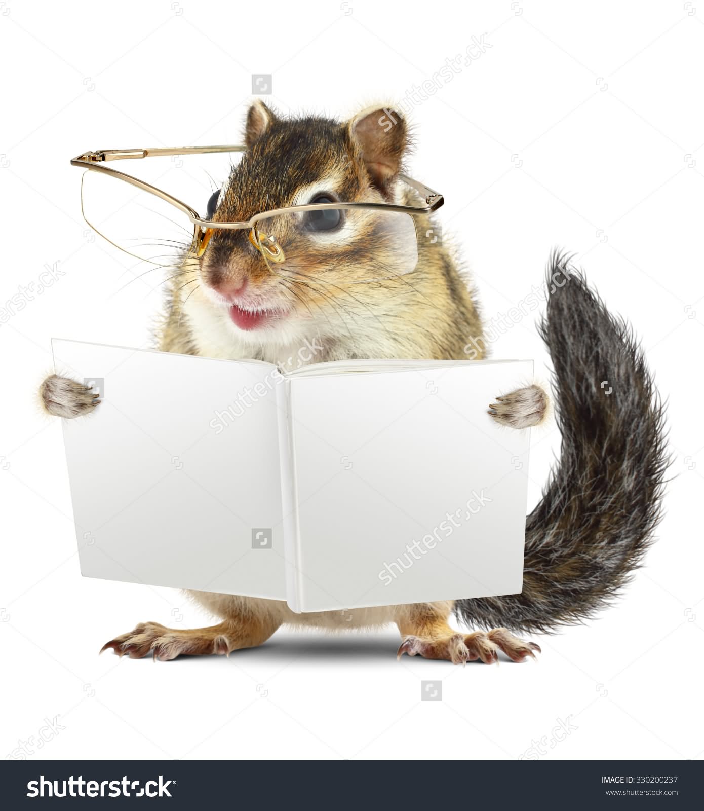 Chipmunk Reading Funny Picture