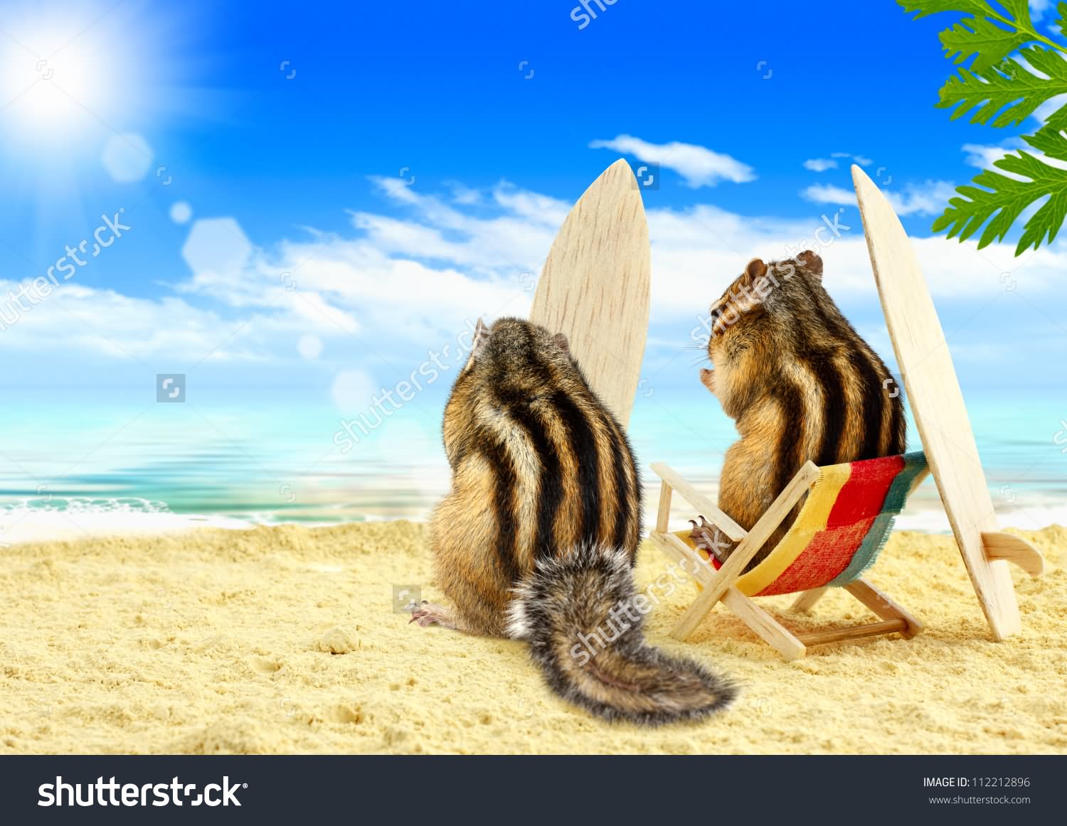 Chipmunks On Beach Funny Picture