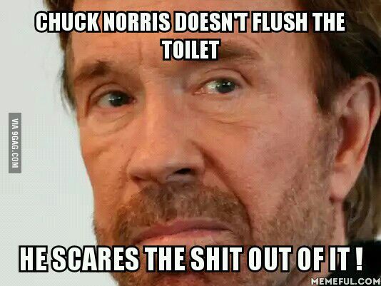Chuck Norris Doesn't Flush The Toilet Funny Picture
