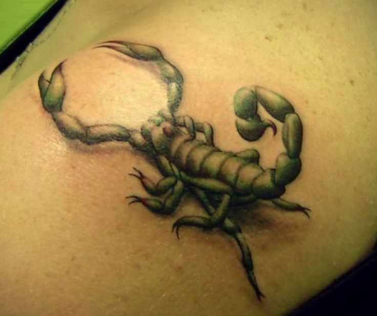 Classic 3D Scorpion Tattoo Design For Arm