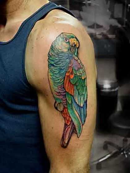 Classic Parrot Tattoo On Left Shoulder