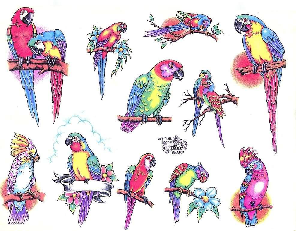 Colorful Flying Parrot Tattoo Flash