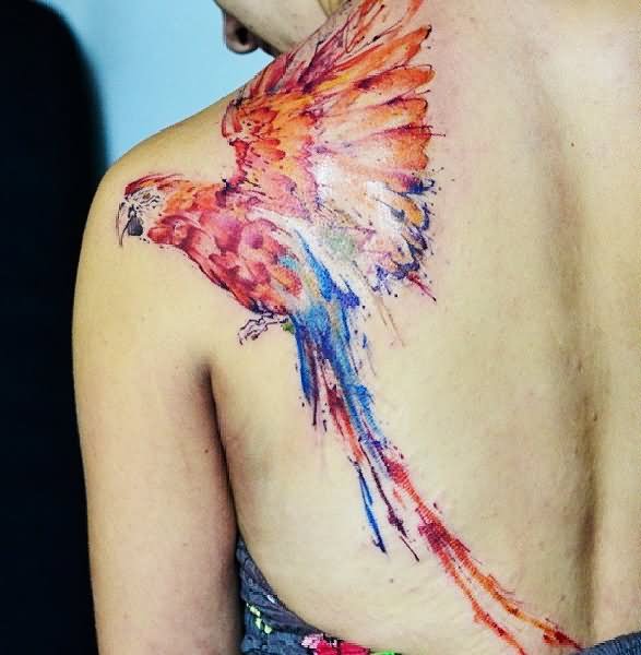 Colorful Flying Parrot Tattoo On Girl Left Back Shoulder