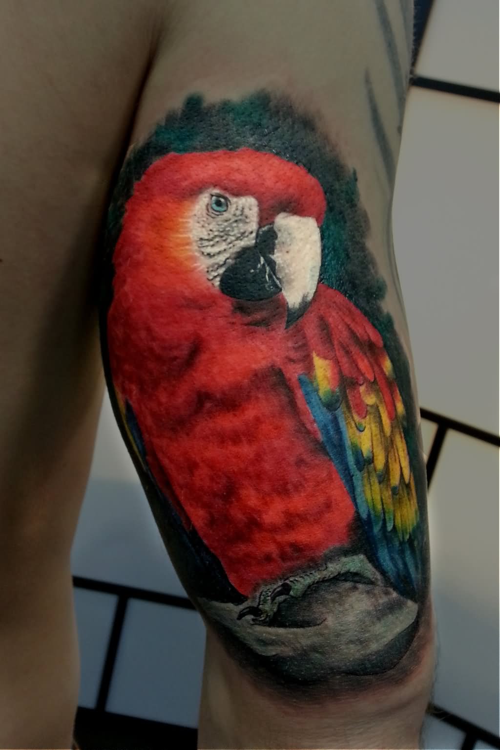 Colorful Parrot Tattoo Design For Half Sleeve By Alexandra