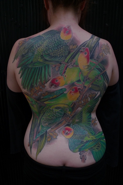 Colorful Parrots Tattoo On Full Back By Stephanie Tamez
