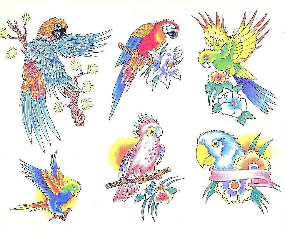 Colorful Six Parrots Tattoo Design