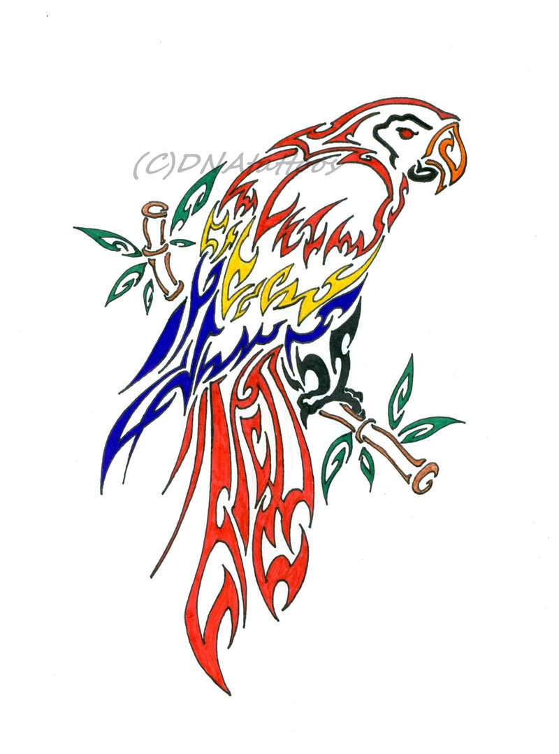 Colorful Tribal Parrot Tattoo Stencil By Dilly Weeds