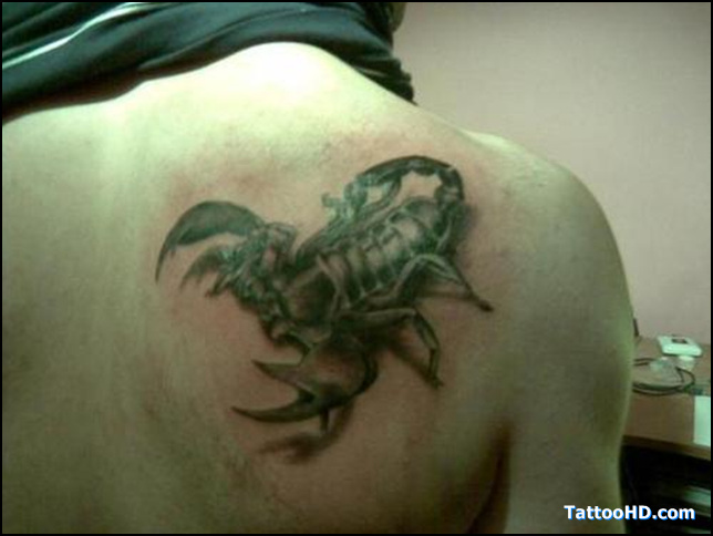 Cool 3D Scorpion Tattoo On Right Back Shoulder