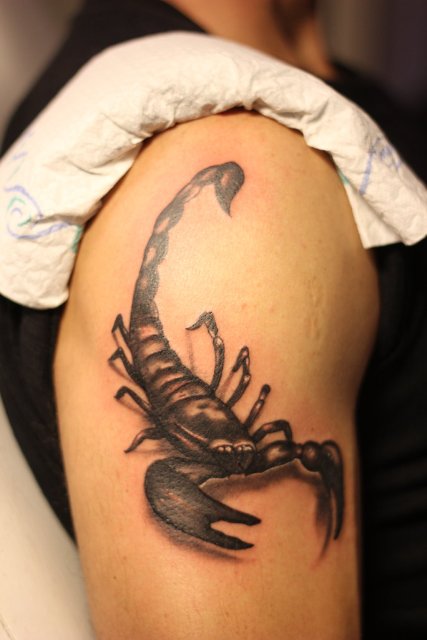 Cool Black Ink 3D Scorpion Tattoo On Right Shoulder