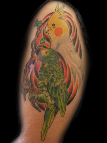 Cute Two Parrots Tattoo Design For Half Sleeve By Christopher Ian Henry