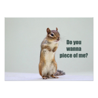Do You Wanna Piece Of Me Funny Chipmunk Image