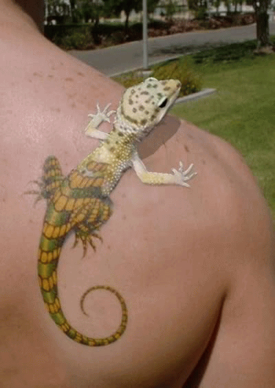 Fantastic 3D Chameleon Tattoo On Right Back Shoulder