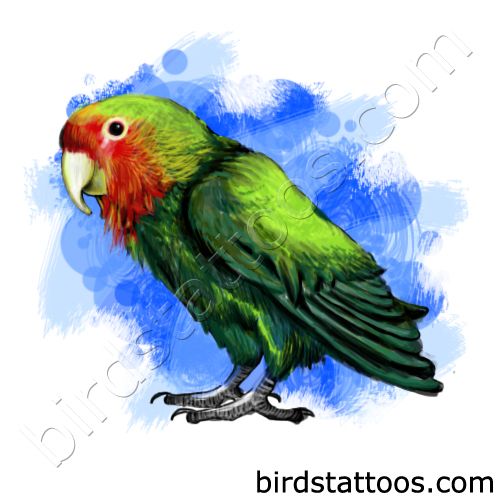 Fantastic Cute Parrot Tattoo Design