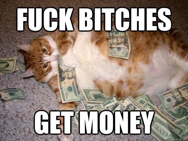 Fuck The Bitches Get Money Funny Meme Image