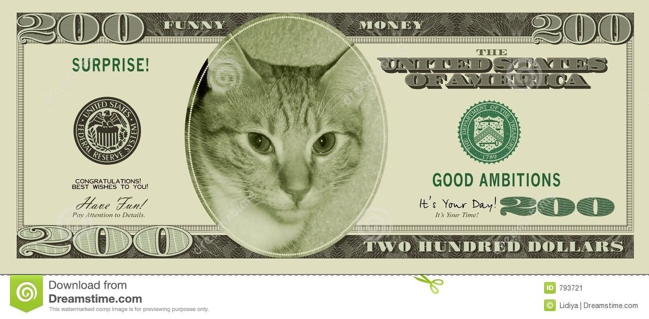 Funny Cat Face On Two Hundred Dollars