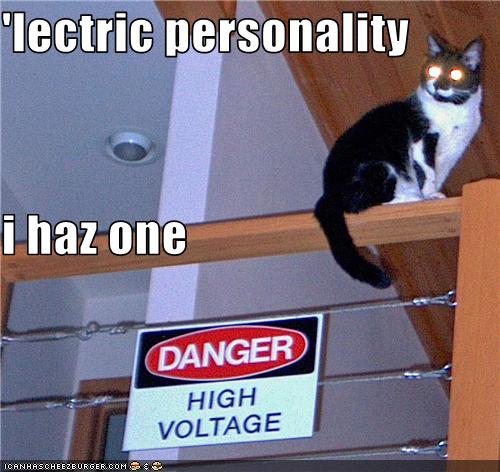 Funny Cat Lectric Personality Image