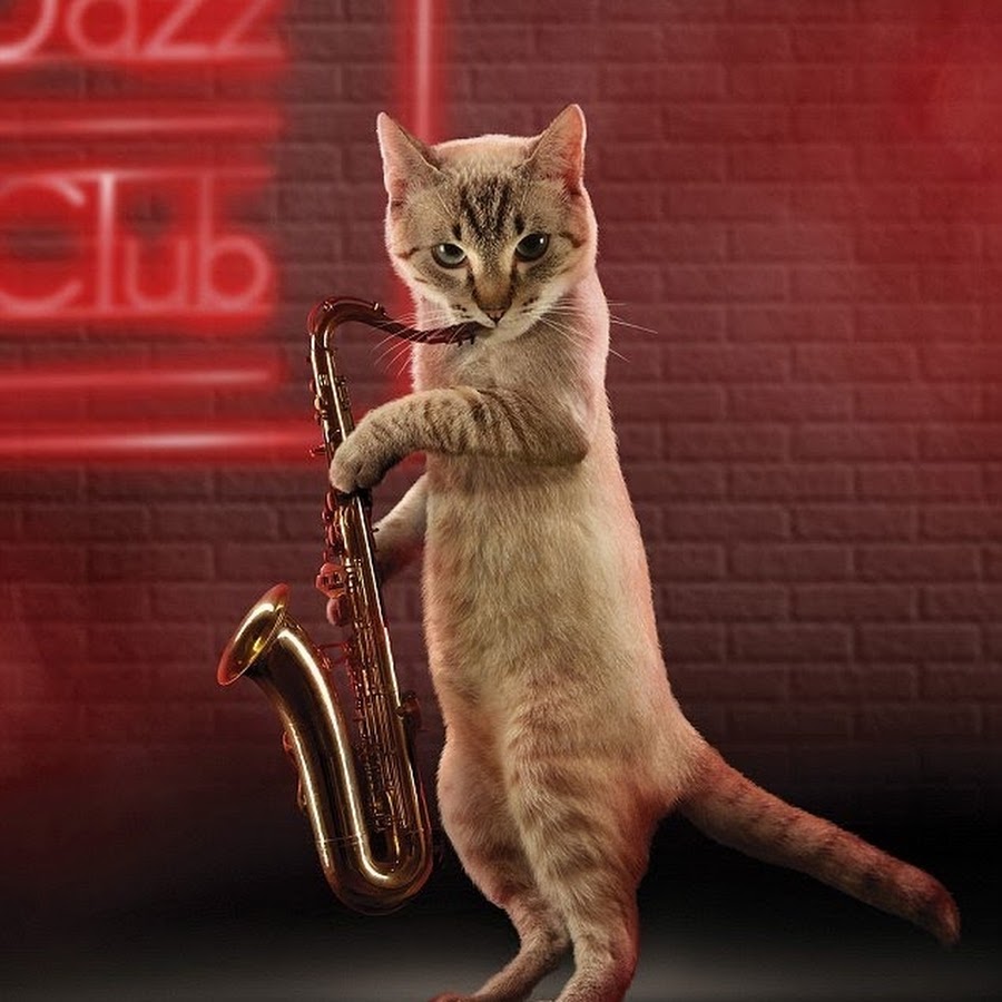 Funny Cat Playing Saxophone Musicians Image