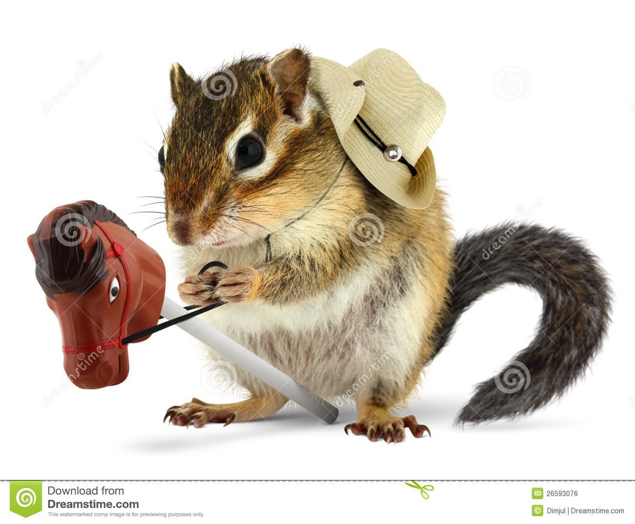 Funny Chipmunk Cowboy Image