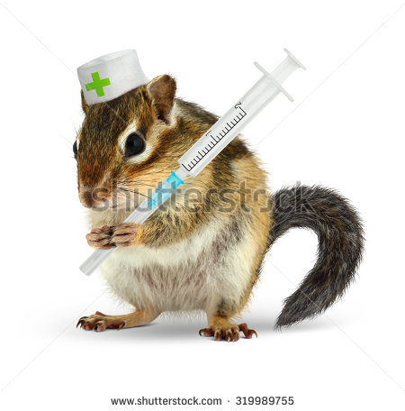 Funny Chipmunk Nurse Picture